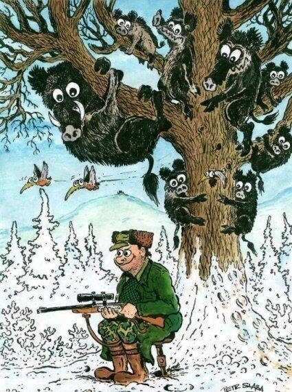 Фото взято из сети интернет, в свободном доступе