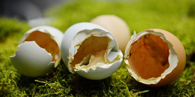 В одной яичной скорлупе содержится Chicken eggshell as suitable calcium source at home.  2 г кальция. Она весит около 5 г и в размолотом состоянии помещается в одной чайной ложке.