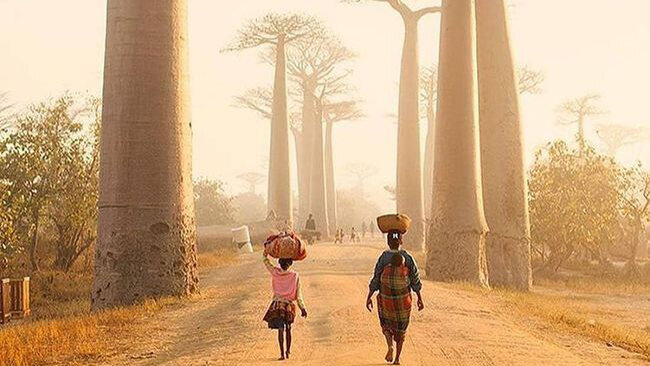 Остров Мадагаскар