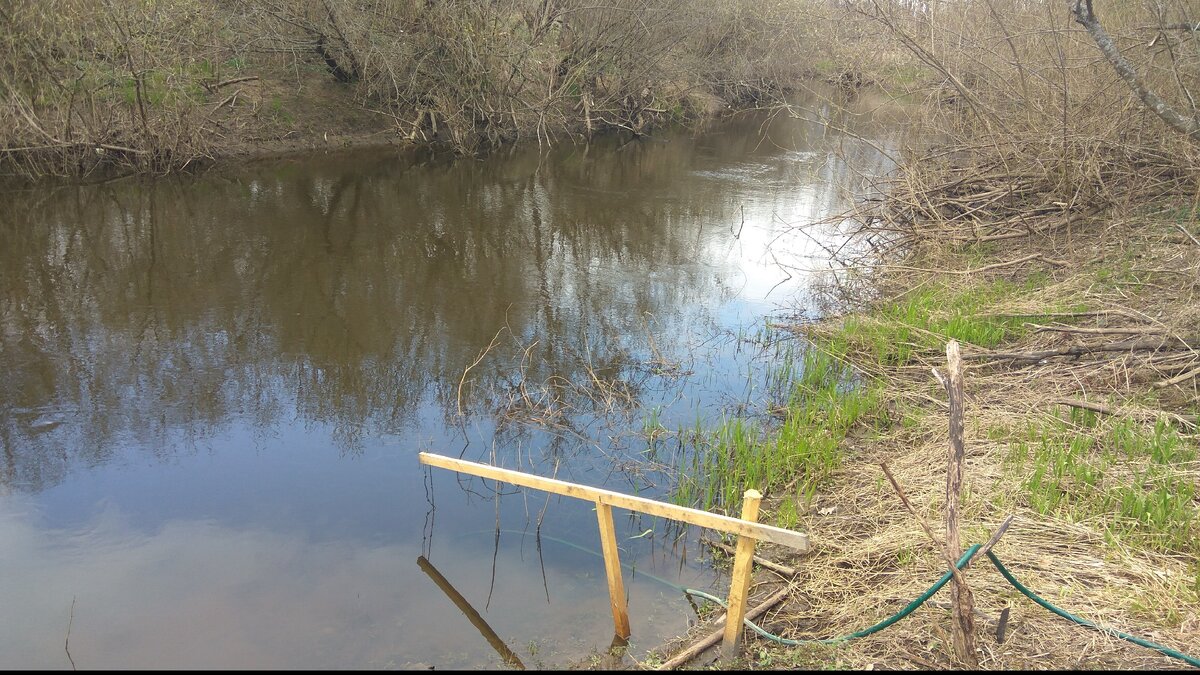 Спуск к речке