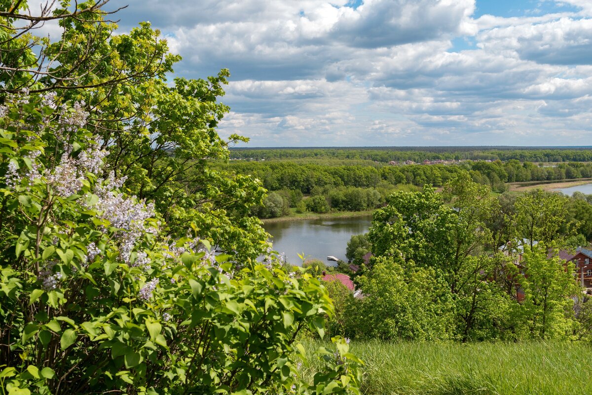 Нижегородская ольгина. Усадьба Ольгино Рамонь. Рамонь заброшенная усадьба Ольгино. Усадьба «Ольгино» на реке Воронеж. Рамонь красивые места у реки.