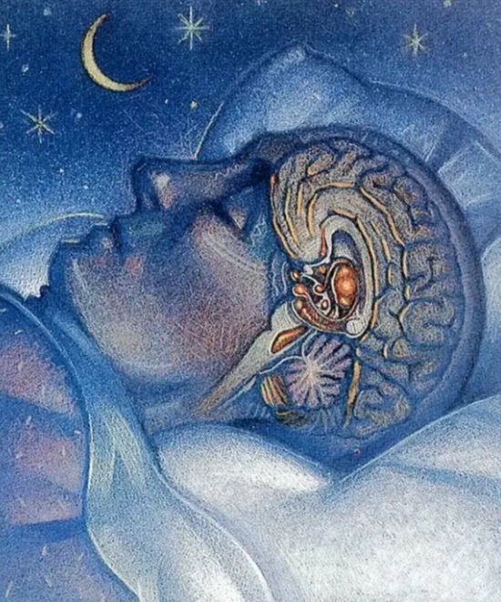 Картинка с яндекса