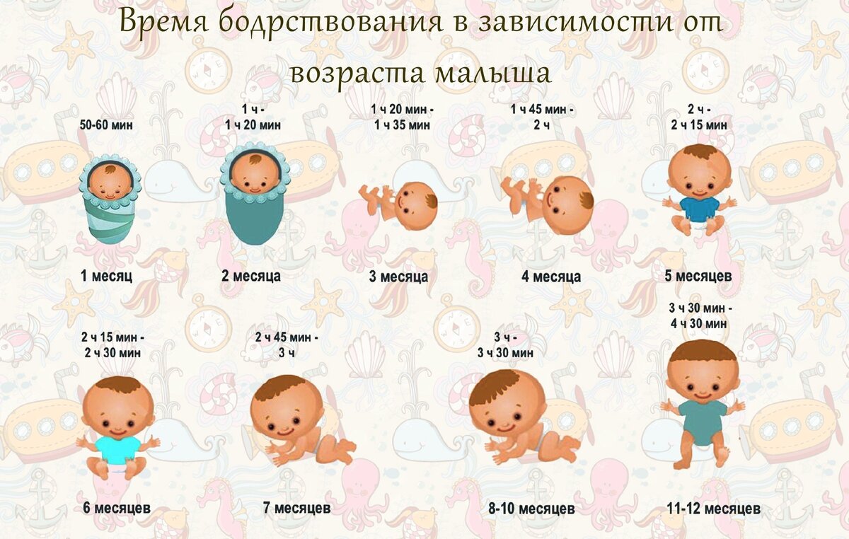 Нескольких месяцев до 2 3. Время бодрствования. Время бодрствования новорожденного в 2 месяца. Бодрствование и сон по месяцам новорожденного ребенка. Сон в первый год жизни ребенка по месяцам.