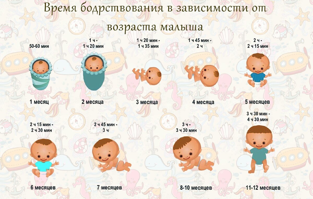 5 лет 4 месяца в днях. Время бодрствования. Время бодрствования новорожденного в 2 месяца. Сон в первый год жизни ребенка по месяцам. Как видят Новорожденные дети в 1 месяц.