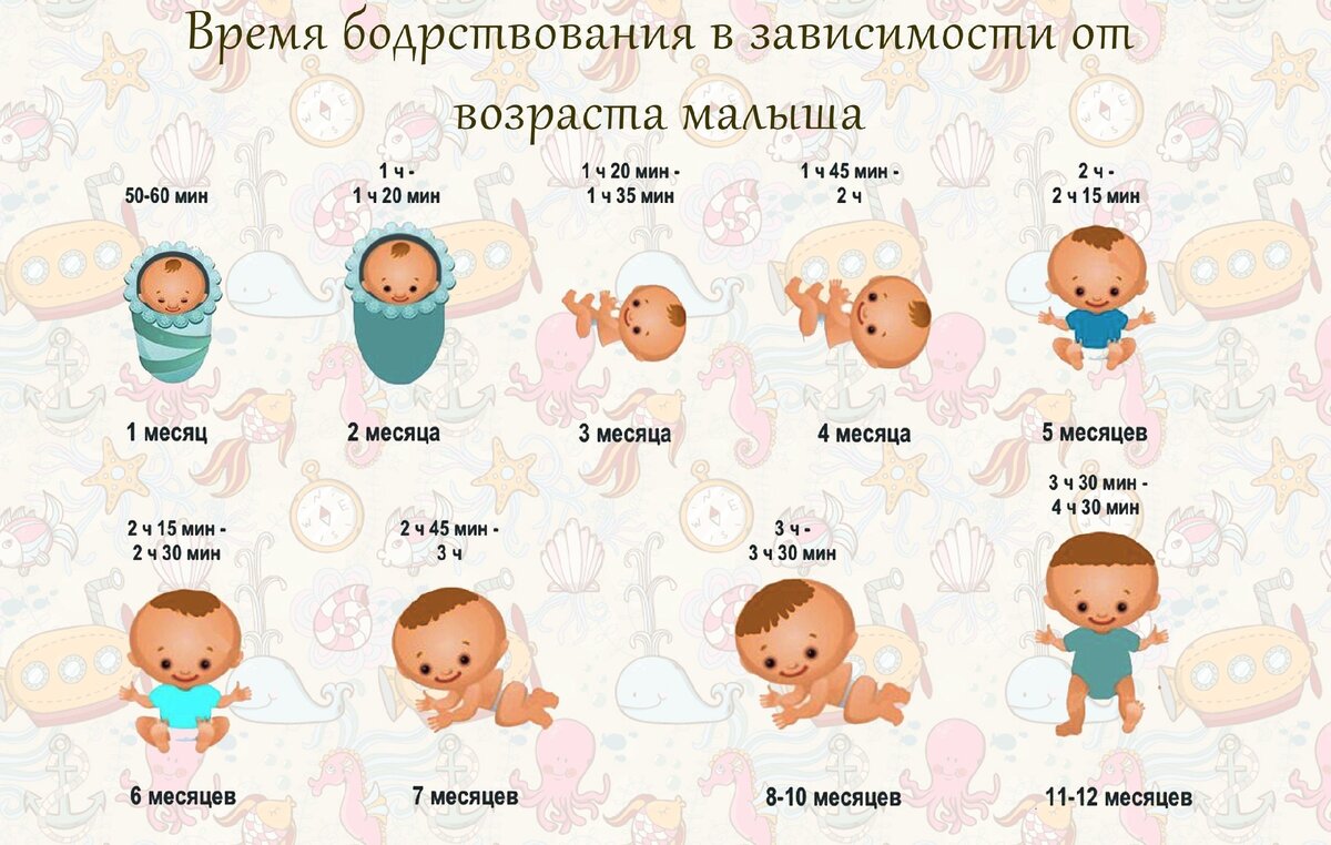 7 месяцев и 1 неделю. Время бодрствования. Время бодрствования новорожденного в 2 месяца. Сон в первый год жизни ребенка по месяцам. Как видят Новорожденные дети в 1 месяц.