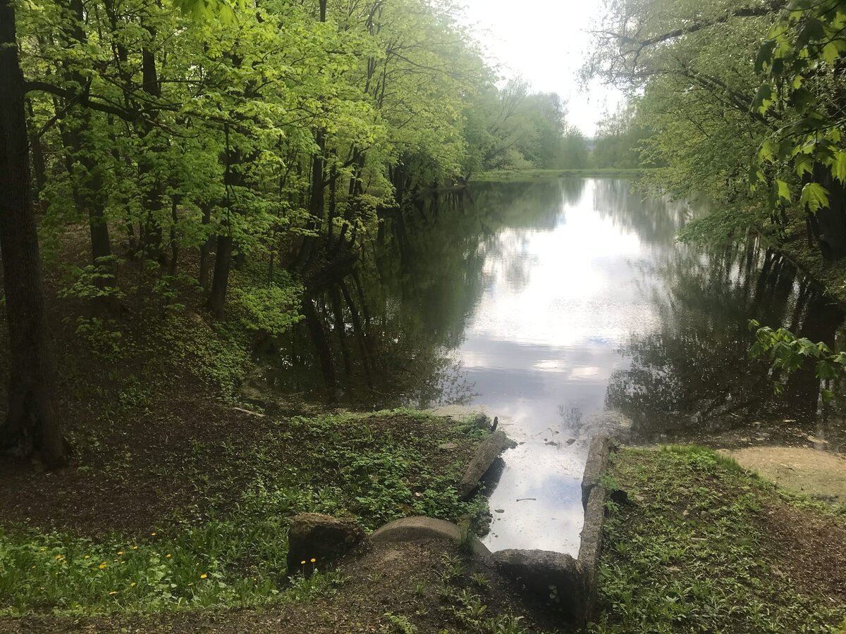 Особенное очарование породы этой весной, Нижегородская область
