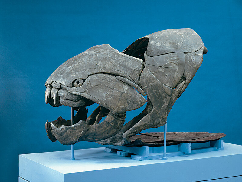 Изображение с сайта Яндекс Картинки