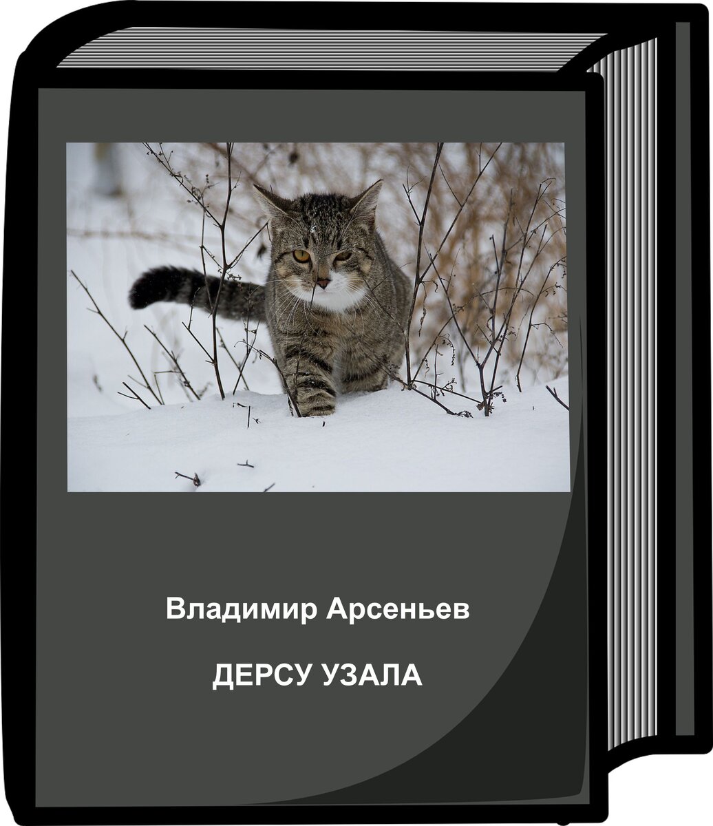 Красота жизни заключается в резких контрастах (с)