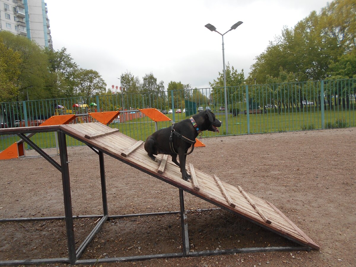 Сижу, никого не трогаю, примус починяю... 
