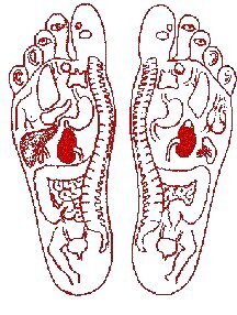 Мудрые китайцы за свою многовековую историю изобрели не только бумагу, компас, шёлк, стекло и порох. Они установили, что массируя определенные участки на подошвах ступней, можно смягчить или даже устранить вовсе болевые ощущения в различных частях организма: суставах, мускулах, внутренних органах. Таким путем вы обеспечиваете беспрепятственный доступ жизненной энергии Ци в любой орган и точку вашего тела.
