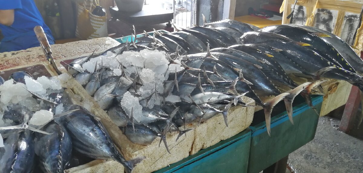 Jimbaran fish market