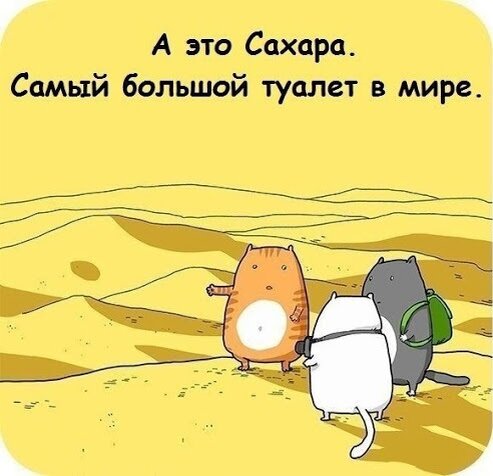 Возможно поклонение кошкам и близость Сахары в Древнем Египте как-то связаны...