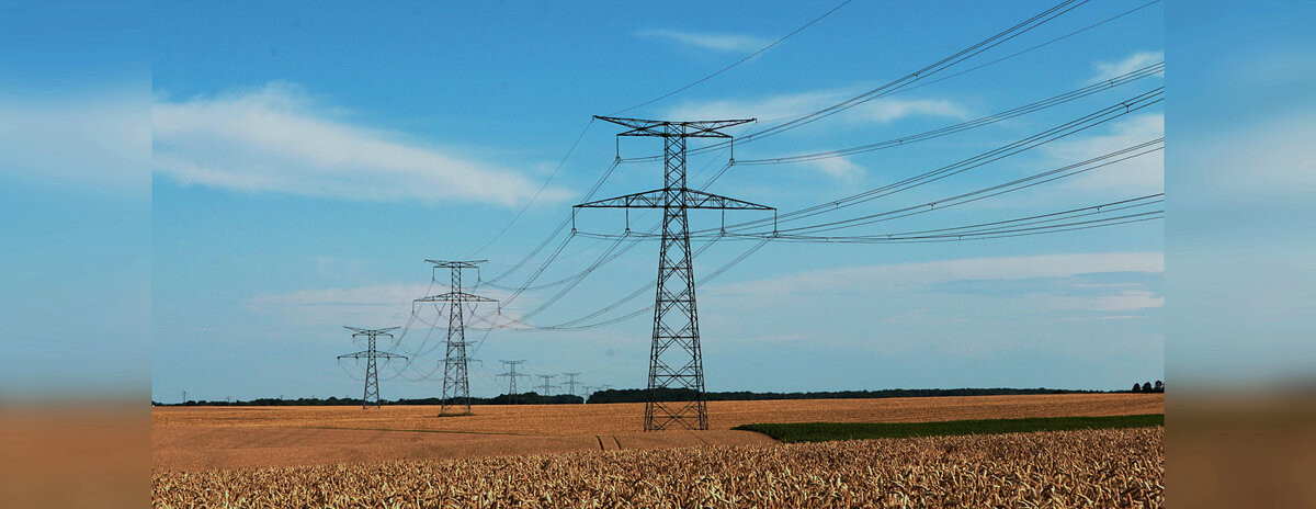 Иллюстрация: Public Domain