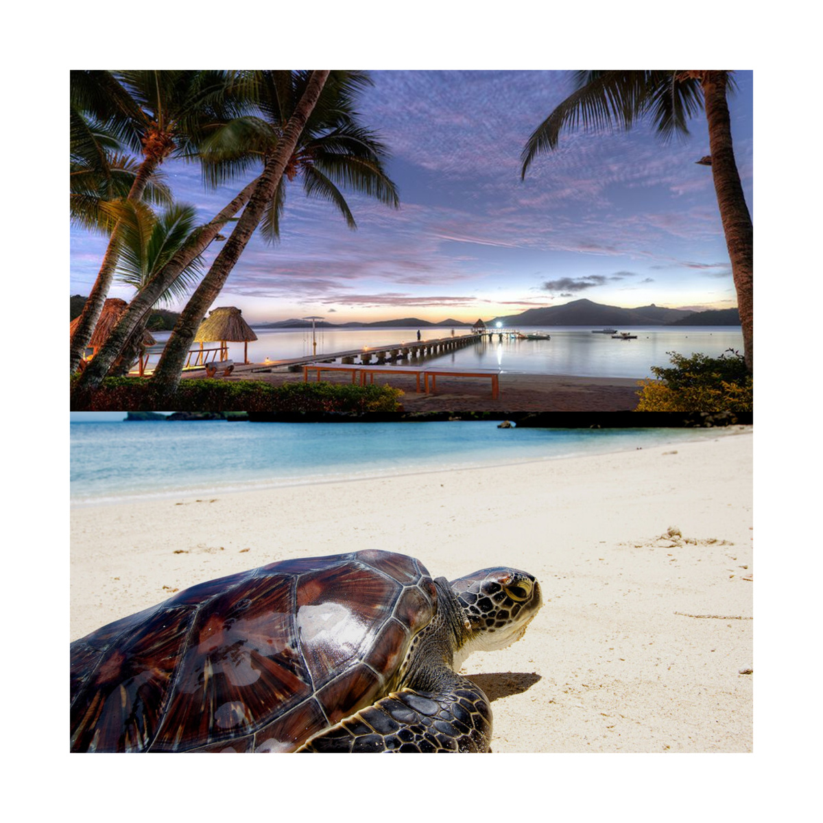 Источник: pixabay.com