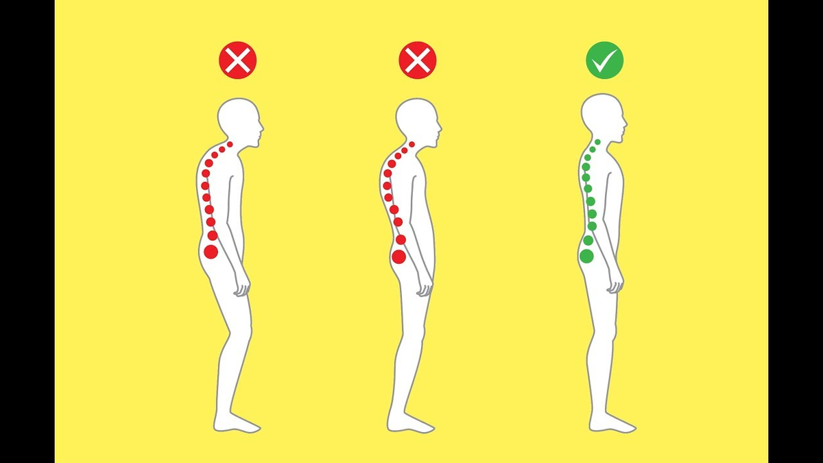 Фото взято для иллюстрации Источник www.youtube.com