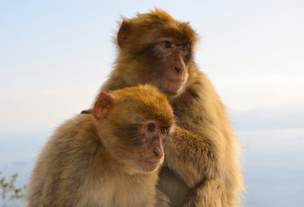 фото из личного архива, сделано мной