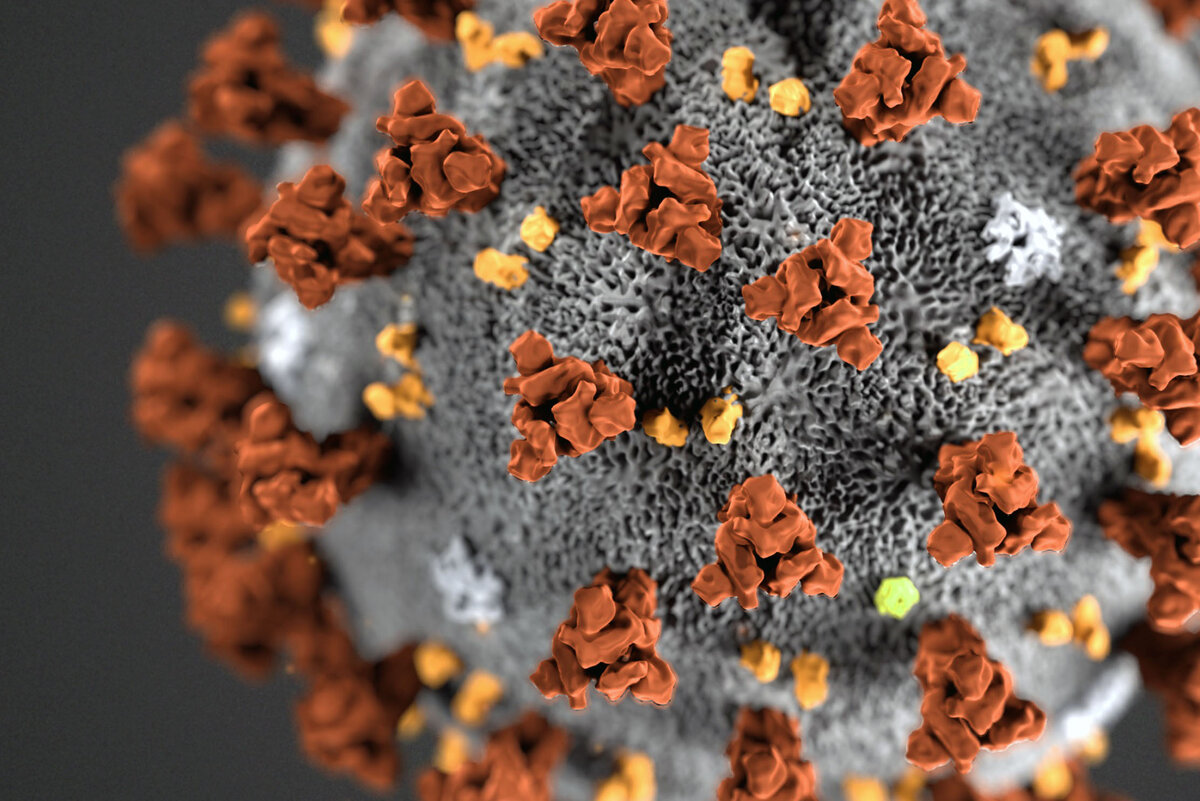 Источник Яндекс Картинки