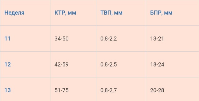 Норма основных параметров УЗИ в 1 триместре беременности