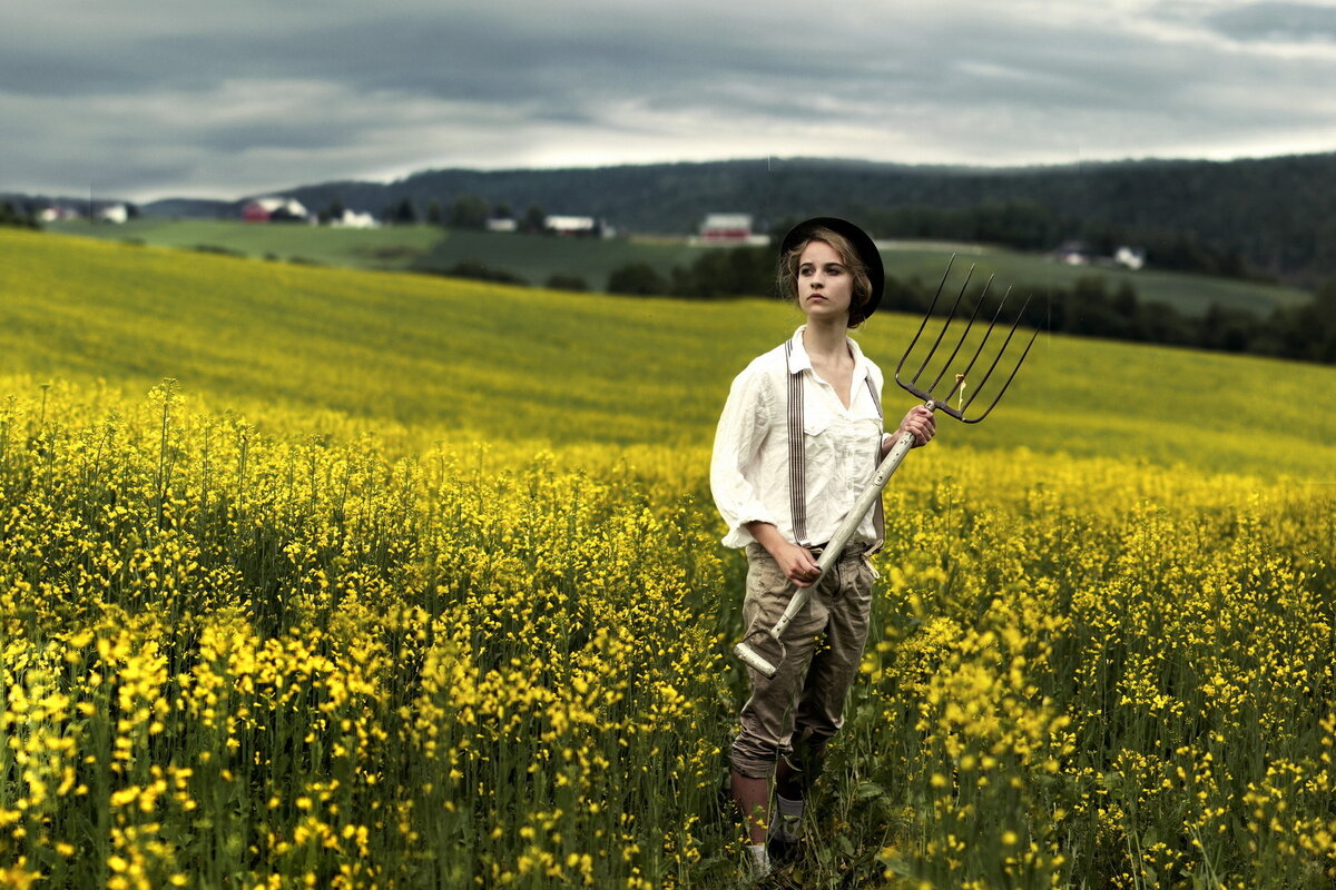 Фото Яндекс картинки