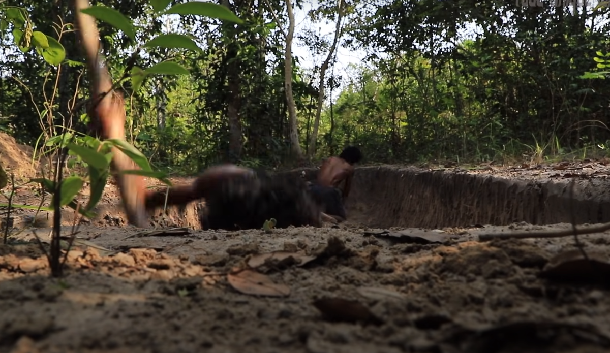 Скриншот с канала Tube Unique Wilderness  https://www.youtube.com/watch?v=cyU144TGCUk