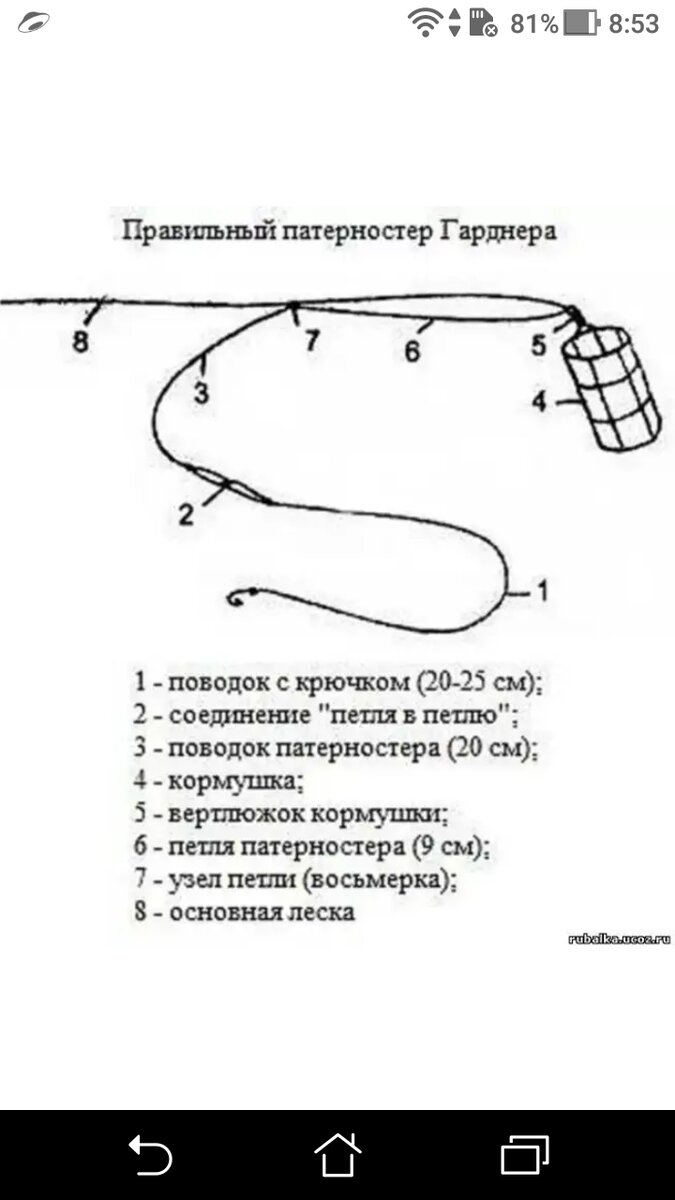 Петля гарднера для фидера как вязать. Монтаж фидерной снасти петля Гарднера. Петля патерностер для фидера. Оснастка патерностер для фидера. Фидерные снасти схемы патерностер.