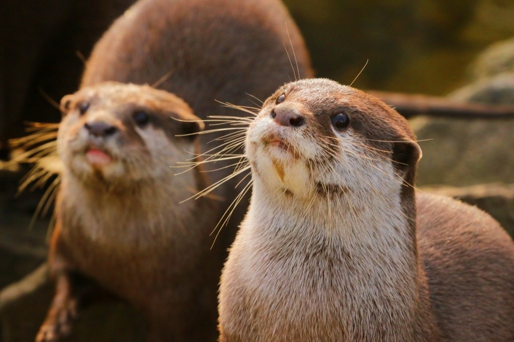 Да тут у вас ремонта на 10 тысяч, не меньше!