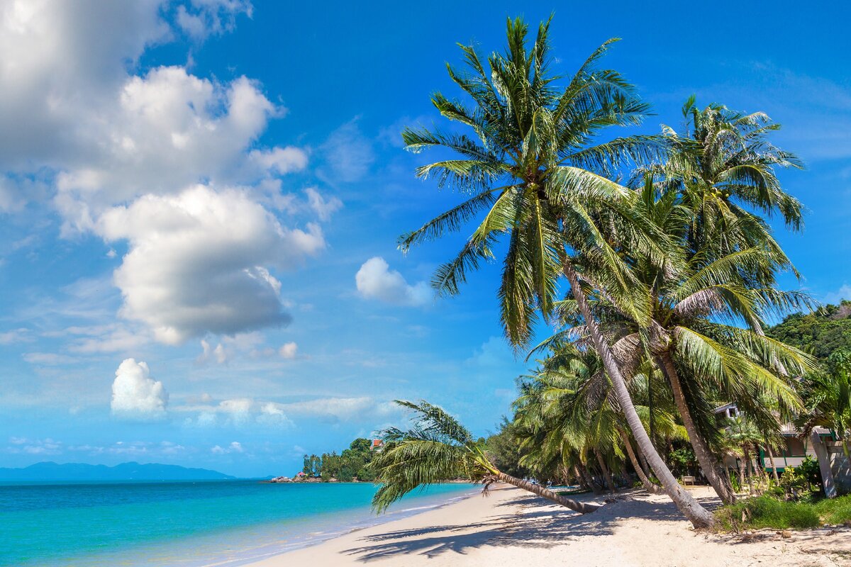 Ясное небо, голубое море.