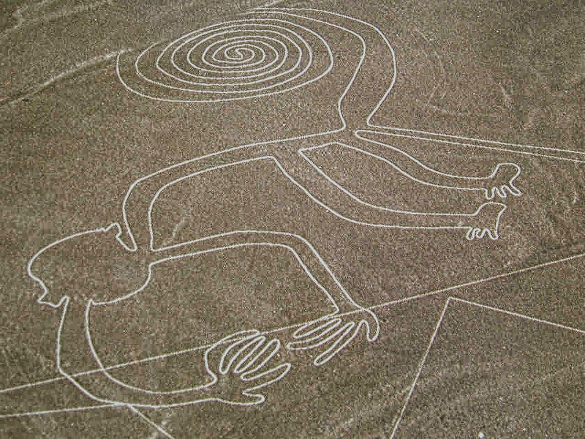 Рисунки на плато Наска называются геоглифами - это огромные изображения на земной поверхности.