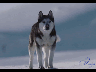 Надо рисковать ради того, что важно.