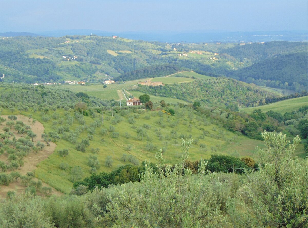 Артимино, Тоскана, Италия. Фото автора.