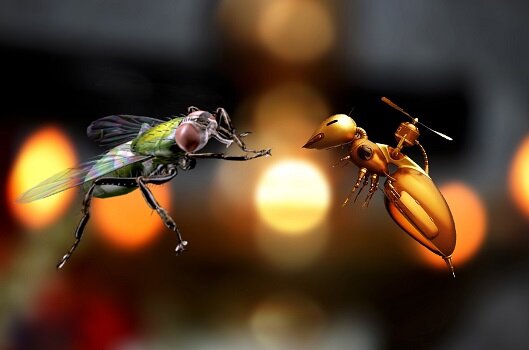 Какой цвет не любят мухи