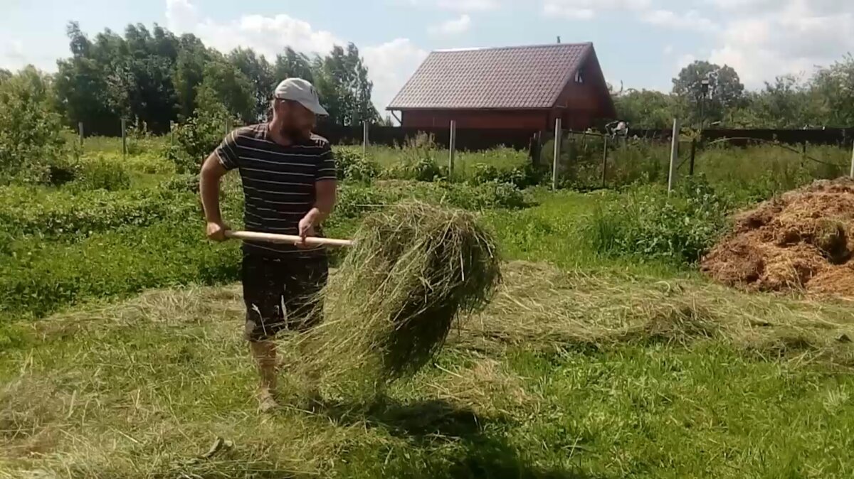 Кто может смело переезжать в деревню, а кому лучше остаться жить в городе |  Растим еду сами! | Дзен