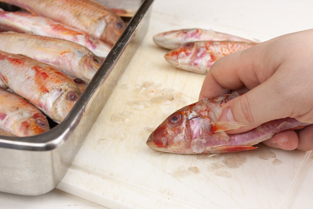 Чешуя снимается пальцем.