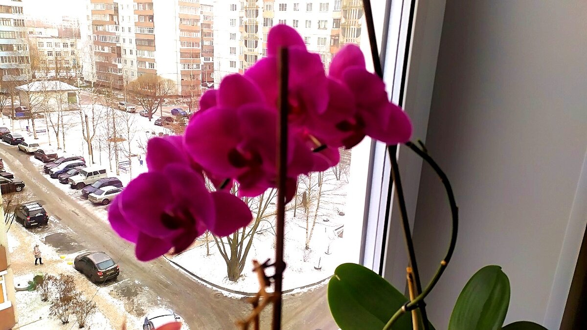Полезные советы. Тест на грамотность