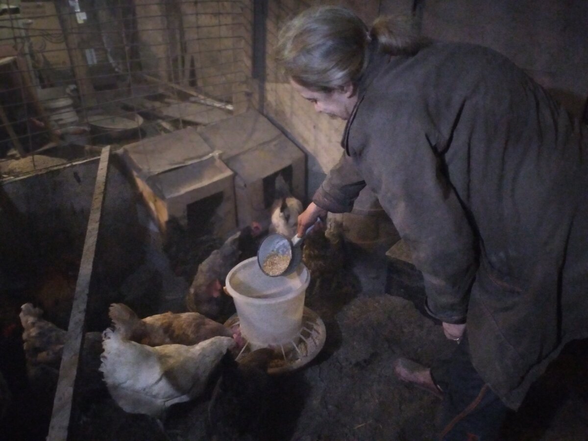 Очередная кормежка