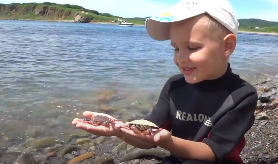 Редкие розовые крабы