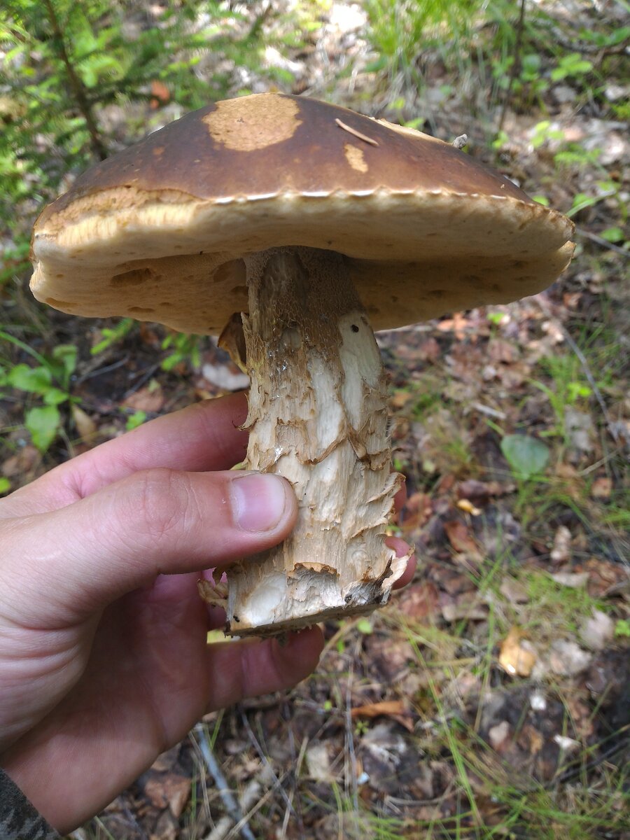 Фото автора канала