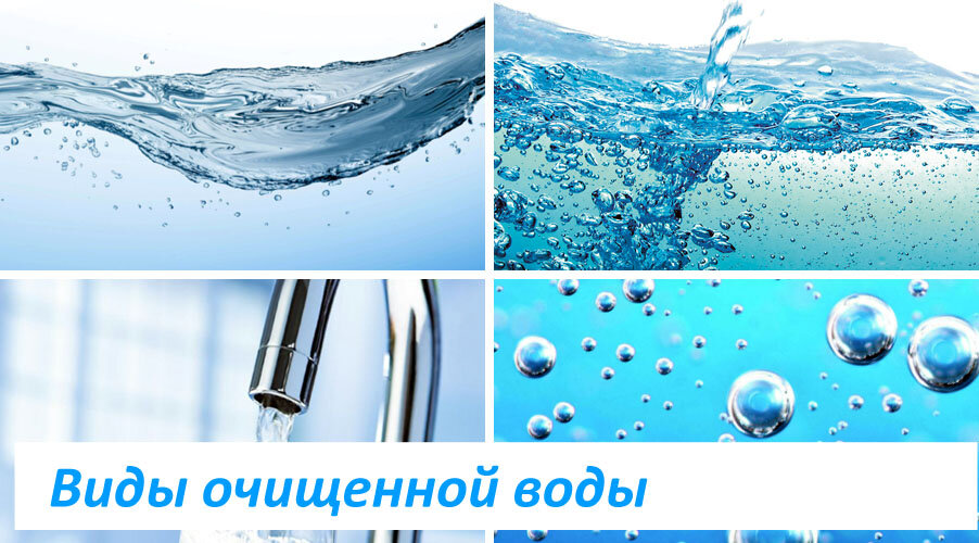 Источником углерода для одуванчика лекарственного является дождевая вода