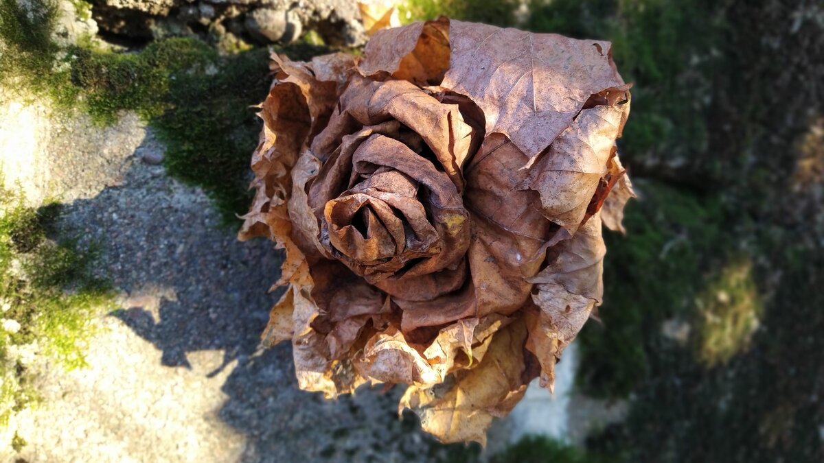 Вот он крупнее.