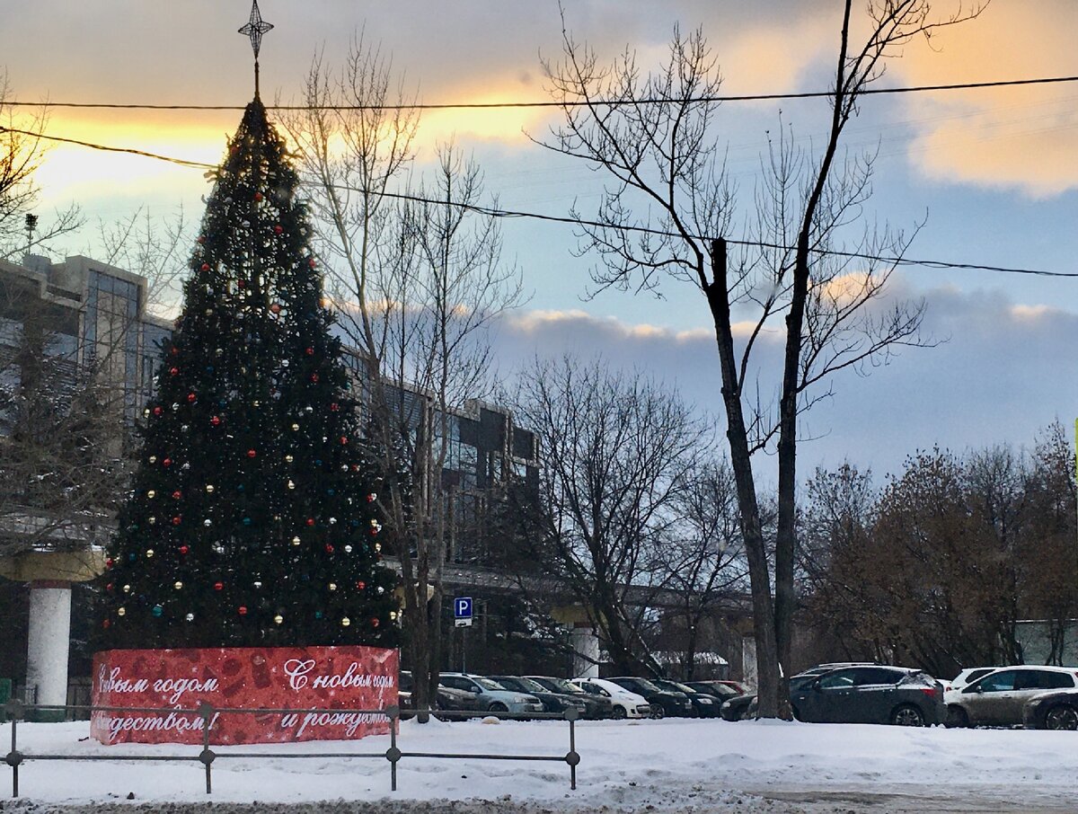 Типичная елка в районе Останкино. Такая же стоит ещё в ста районах Москвы 