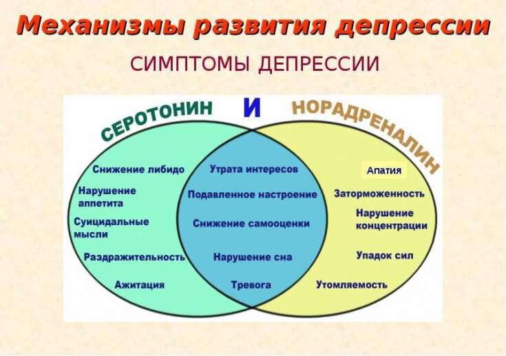 Что делать, если вы подозреваете, что у вас депрессия? | slep-kostroma.ru - Новости в Челябинске