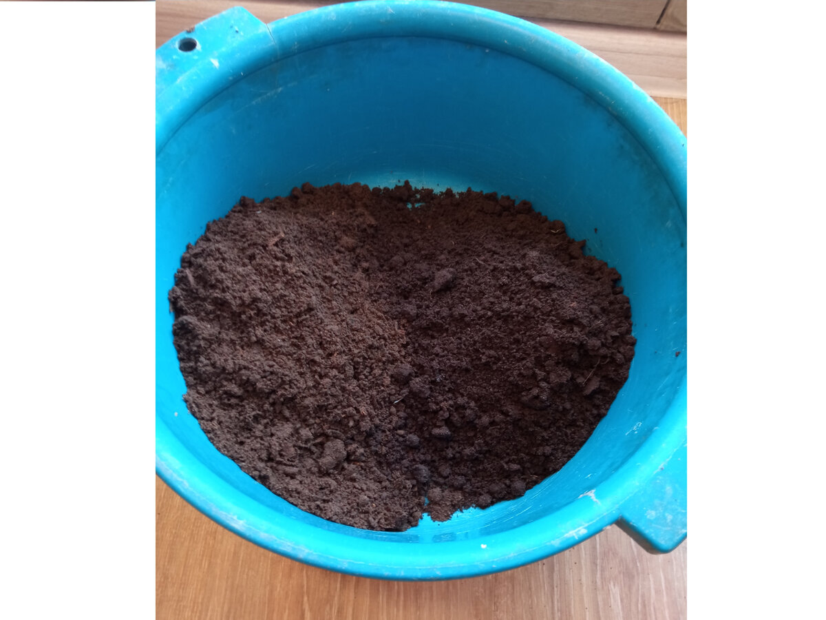 Старая земля с Землекормом