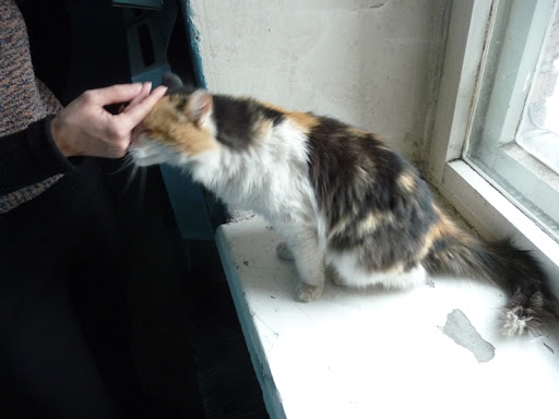 В подъезде погладит и уходит в чистую квартиру.