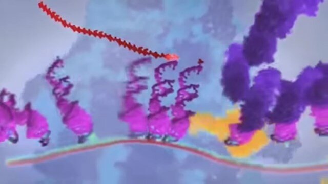 Трансляция РНК - белок