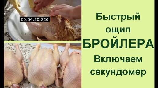 Как ошпарить бройлера и быстро ощипать