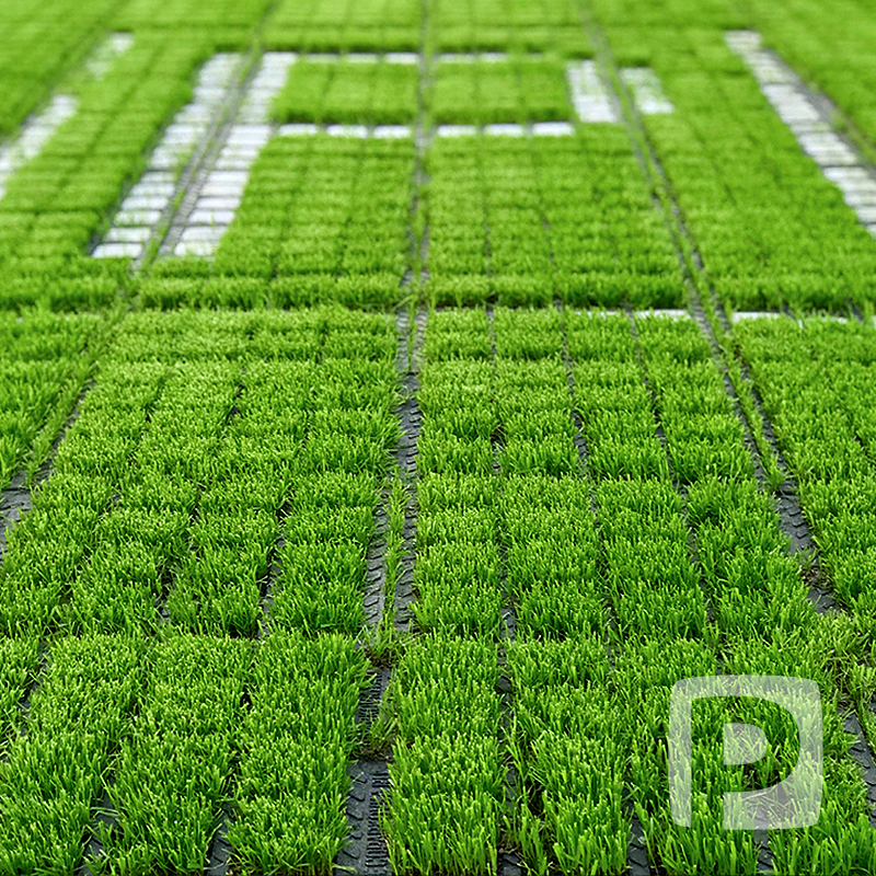 Экологическая парковка из полимерпесчаной газонной решетки МДП