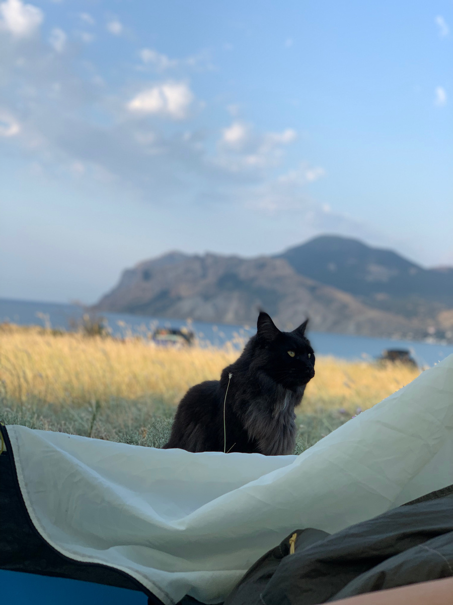 Фото из личной коллекции автора 