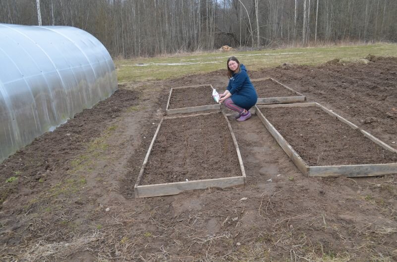 Мои грядки на огороде.