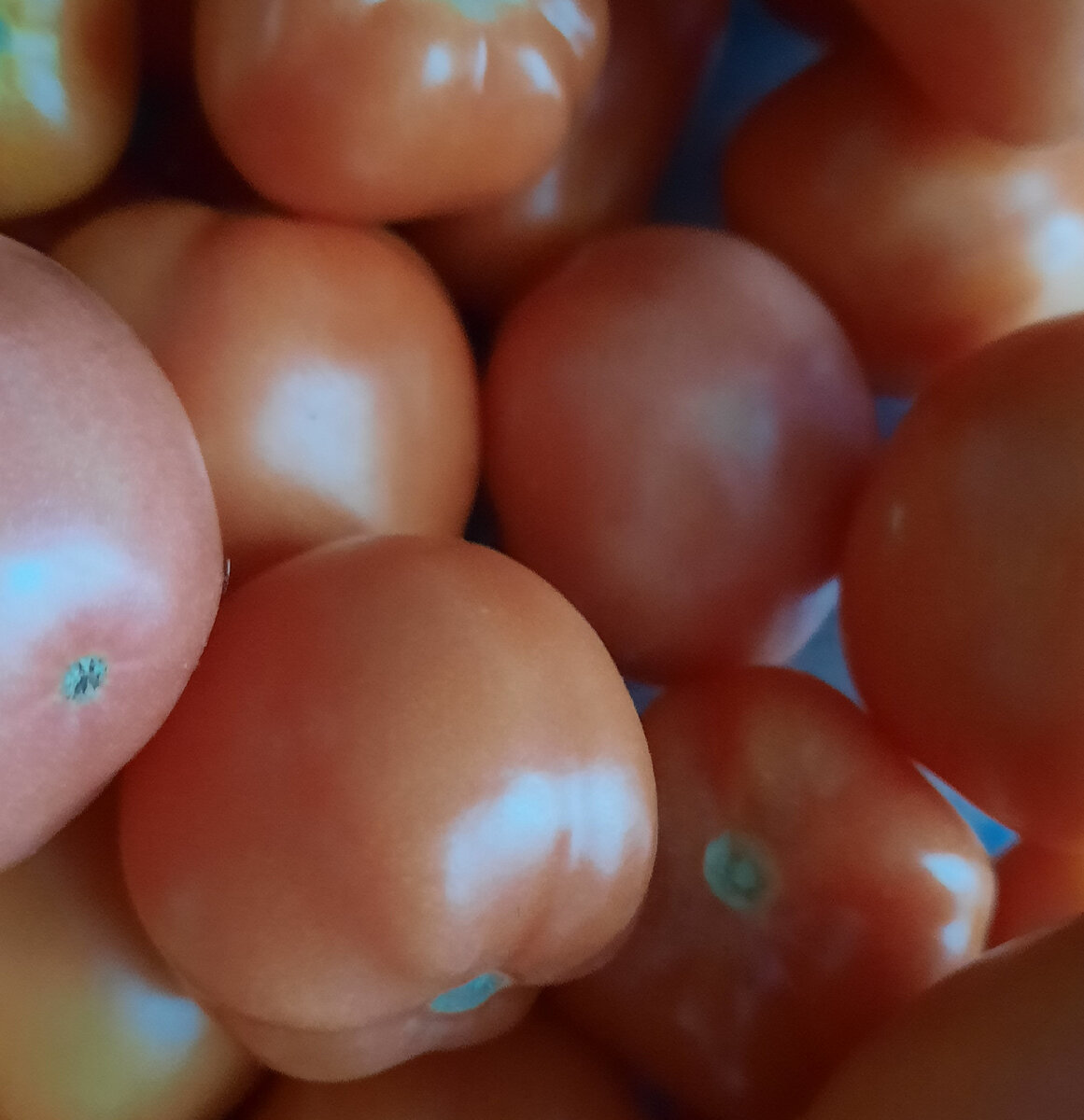 Фото из личного архива