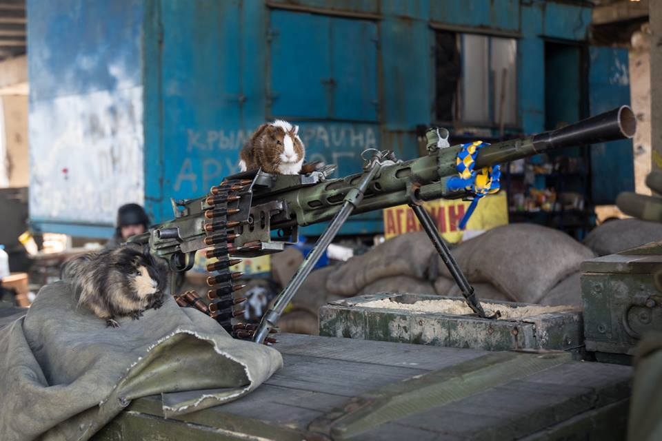 Пулемёт РП46 на Донбассе со стороны Украины
